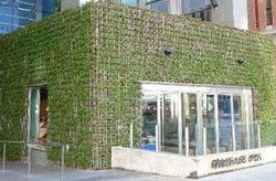 Greenhouse - Maitland Accommodation 2