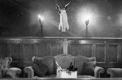 The Club - Maitland Accommodation 2