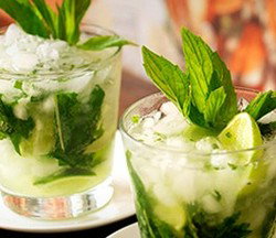 Coco Cubano - Darlinghurst - Maitland Accommodation 2