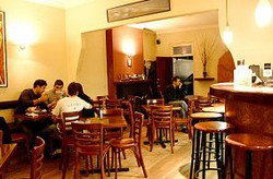 Jovanotti - Maitland Accommodation 2