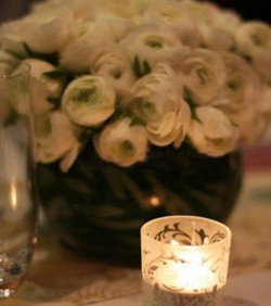 Chanterelle At Jessicas - Maitland Accommodation 3