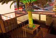 Villa Nightclub - Maitland Accommodation 3