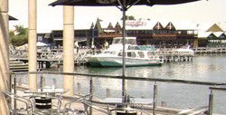 The Stage Door Bar & Brasserie - Maitland Accommodation 3