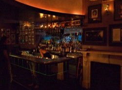 Iguana Bar - Maitland Accommodation 3