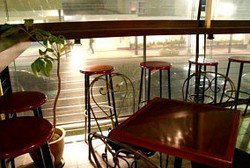 Jovanotti - Maitland Accommodation 3