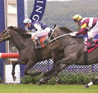 Gosford Race Club - Maitland Accommodation