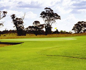Mt Broughton Golf And Country Club - Maitland Accommodation 0