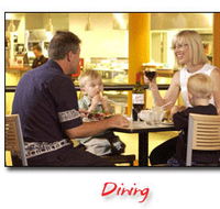 Steelers Club - Maitland Accommodation