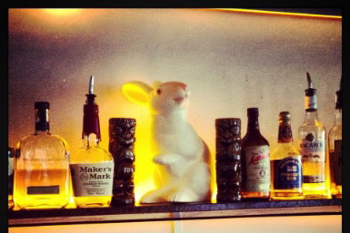 Hairy Canary - Maitland Accommodation 0