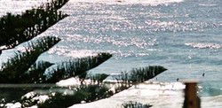 Bondi Social - Maitland Accommodation 0