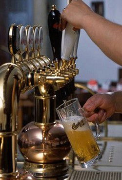 Doma Bohemian Beer Cafe - Maitland Accommodation 2