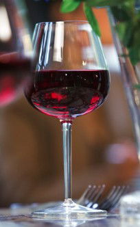 Doma Bohemian Beer Cafe - Maitland Accommodation 3