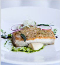 PJ's Irish Sports Bar & Bistro @ The Criterion Hotel - Maitland Accommodation 0