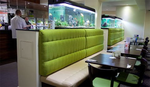 Carriers Arms Hotel Motel - Maitland Accommodation 2