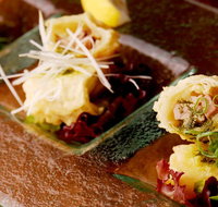 HaNa Ju-Rin Japanese Restaurant - Maitland Accommodation
