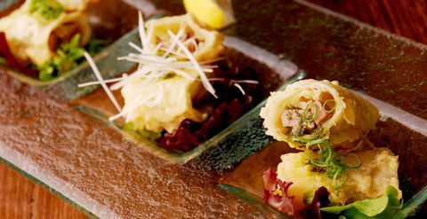 HaNa Ju-Rin Japanese Restaurant - Maitland Accommodation 0