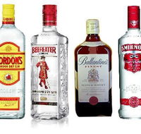 Mount Surprise Hotel - Maitland Accommodation