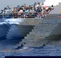 MoonshadowTQC Cruises - Maitland Accommodation