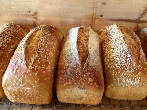 Blackbird Artisan Bakery - Maitland Accommodation 0