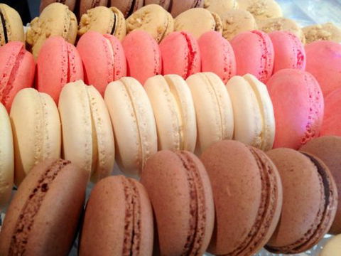 Blackbird Artisan Bakery - Maitland Accommodation 1