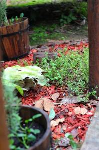 Herveys Range Heritage Tea Rooms - Maitland Accommodation 1