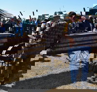 19th Annual Old Wheels In Motion Rally - Maitland Accommodation