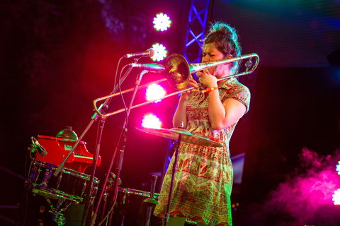 Agnes Blues, Roots And Rock Festival - Maitland Accommodation 2