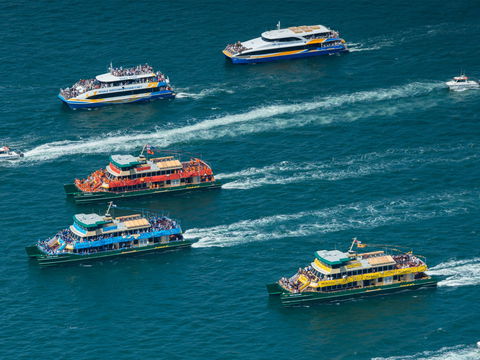 Australia Day Sydney Harbour Cruises - Maitland Accommodation 1
