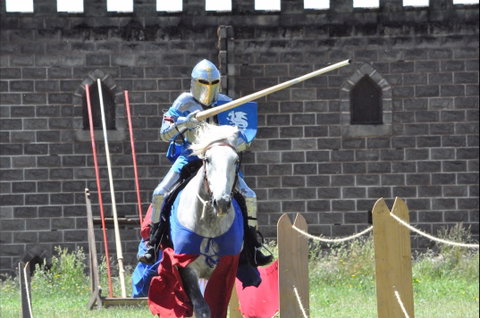 Baroque Horse Festival - Maitland Accommodation 1