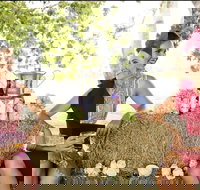 Burdekin Growers Race Day - Maitland Accommodation