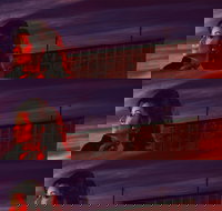 Carmen - Maitland Accommodation