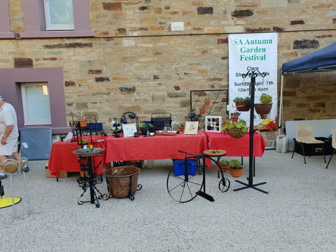 Clare Show Market - Maitland Accommodation 1