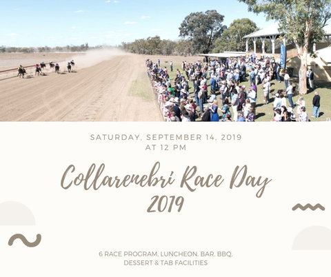 Collarenebri Races - Maitland Accommodation 0