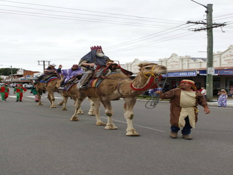 Dowling Street Christmas Party - Maitland Accommodation 0