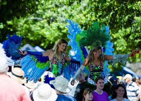 Family Fun Carnivale - Maitland Accommodation 0