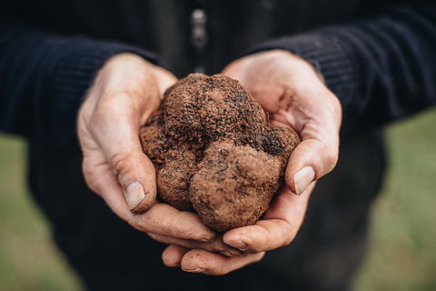 Feast And Forage - Craig's Royal Hotel - Maitland Accommodation 0