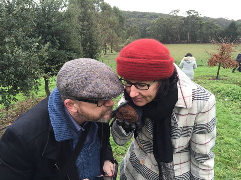Feast And Forage - Craig's Royal Hotel - Maitland Accommodation 1