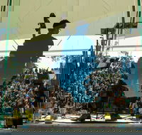 Four Winds Easter Festival - Maitland Accommodation