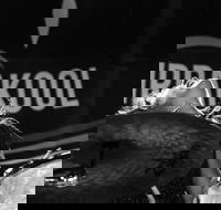 Girrakool Blues Festival and Barbecue - Maitland Accommodation