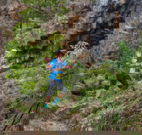 Goldrush Trail Runs - Maitland Accommodation