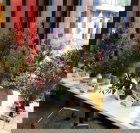 Grampians Wildflower Show - Maitland Accommodation