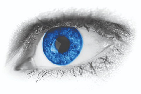 Joe Orton's What The Butler Saw - Maitland Accommodation 0