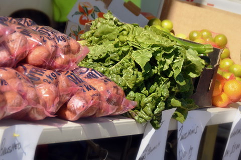 Junee Rotary Farmers Markets - Maitland Accommodation 2