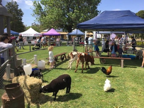 Mathoura Country Kids Festival - Maitland Accommodation 2