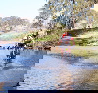 Mountain Man Tri Challenge - Maitland Accommodation