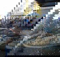 Narrabri Show - Maitland Accommodation