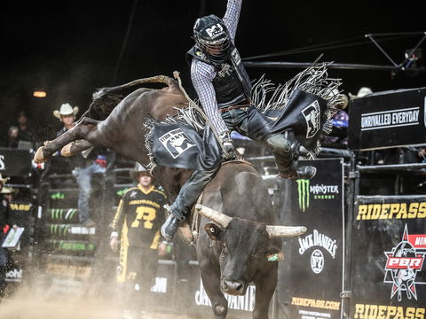 PBR Hawkesbury Stampede - Maitland Accommodation 0