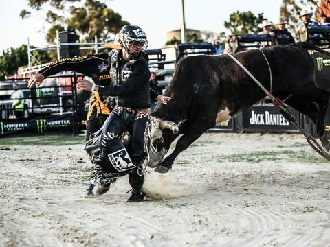PBR Hawkesbury Stampede - Maitland Accommodation 2