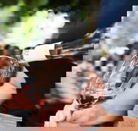 Saturday Wine Masterclass - Maitland Accommodation