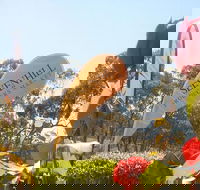 Sevenhill Producers Market - Maitland Accommodation